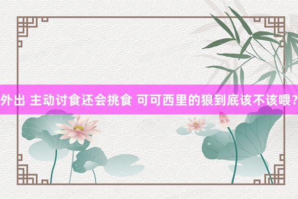 外出 主动讨食还会挑食 可可西里的狼到底该不该喂？