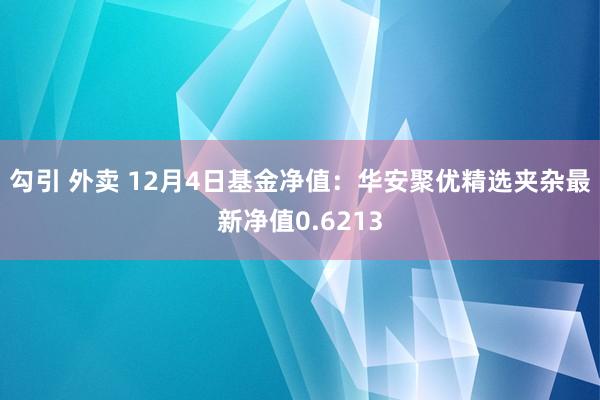 勾引 外卖 12月4日基金净值：华安聚优精选夹杂最新净值0.6213