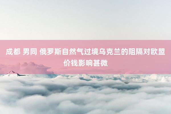成都 男同 俄罗斯自然气过境乌克兰的阻隔对欧盟价钱影响甚微