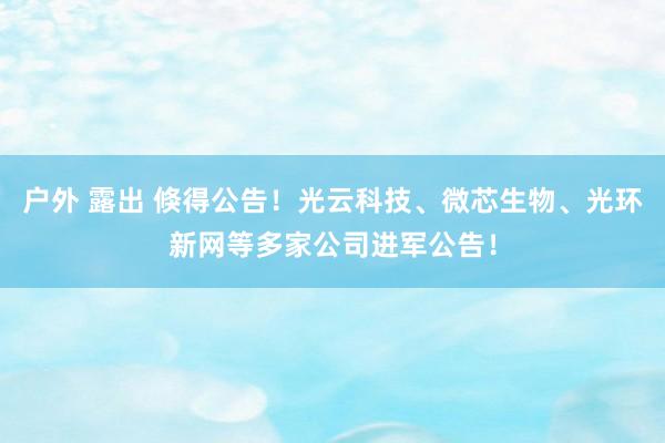 户外 露出 倏得公告！光云科技、微芯生物、光环新网等多家公司进军公告！