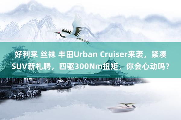 好利来 丝袜 丰田Urban Cruiser来袭，紧凑SUV新礼聘，四驱300Nm扭矩，你会心动吗？