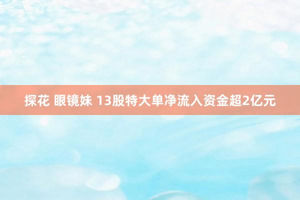 探花 眼镜妹 13股特大单净流入资金超2亿元
