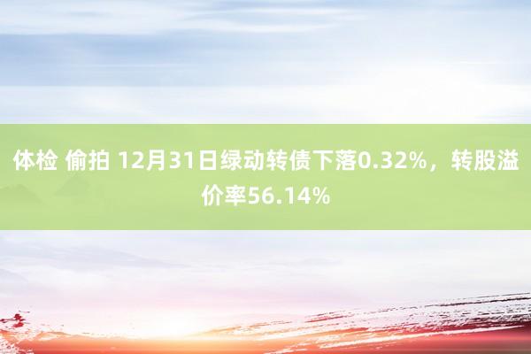 体检 偷拍 12月31日绿动转债下落0.32%，转股溢价率56.14%