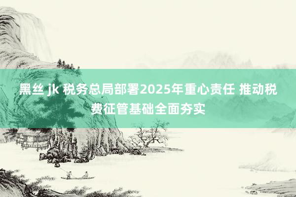 黑丝 jk 税务总局部署2025年重心责任 推动税费征管基础全面夯实