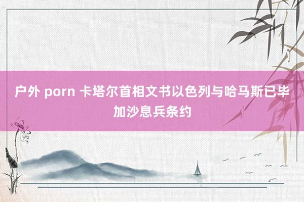 户外 porn 卡塔尔首相文书以色列与哈马斯已毕加沙息兵条约
