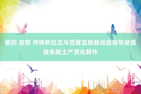 偷拍 自慰 传特斯拉正与百度互助鼓动自动驾驶提拔系统土产货化耕作