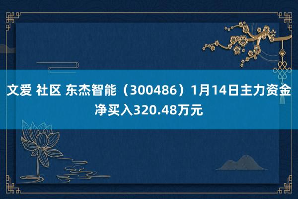 文爱 社区 东杰智能（300486）1月14日主力资金净买入320.48万元