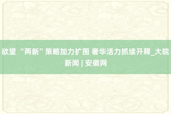 欲望 “两新”策略加力扩围 奢华活力抓续开释_大皖新闻 | 安徽网